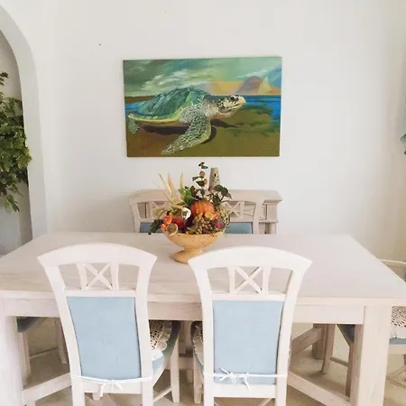 Oasis Park בית נופש פורטימאו